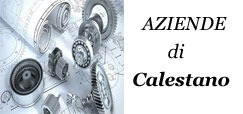 banner aziende calestano