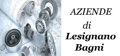 banner aziende lesignano bagni