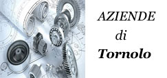 banner aziende tornolo