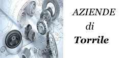 banner aziende torrile