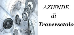 banner aziende traversetolo