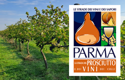 La Strada dei Vini dei Colli di Parma