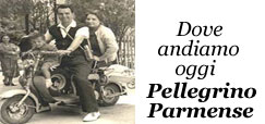 banner dove andiamo pellegrino parmense