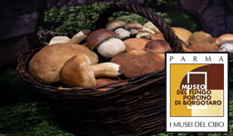 Porcini Mushroom Museum of Borgotaro