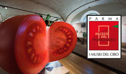 The Tomato Museum