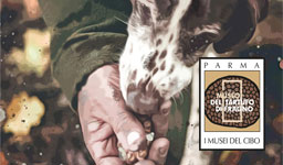 Fragno Truffle Museum, Calestano 