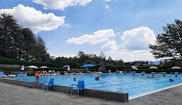 Piscina Bedonia