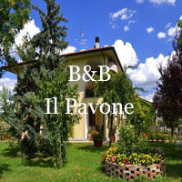 B&B Il Pavone a Busseto con struttura accogliente nel centro della città verdiana.