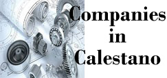 banner aziende calestano