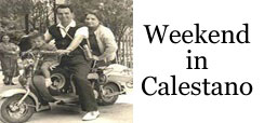 banner dove andiamo calestano