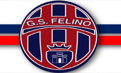 Gs Felino