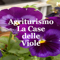 Agriturismo La Casa delle Viole Fornovo con agriturismo immerso nelle colline e proposta di soggiorno rurale nella natura parmense.