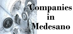 banner aziende medesano