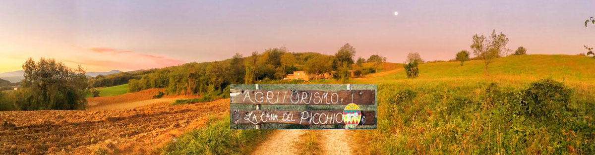 banner la tana del picchio