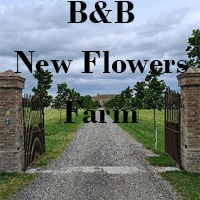 Giardino e spazi verdi della New Flowers Farm a Noceto, location nella natura perfetta per eventi e relax.