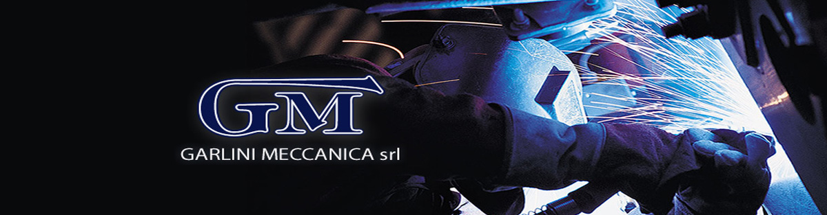 banner garlini