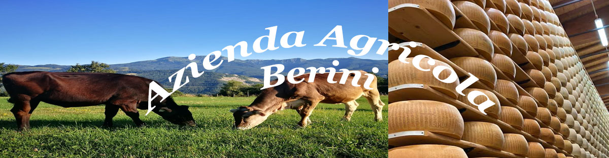 banner azienda agricola berini