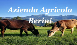 Azienda agricola Berini