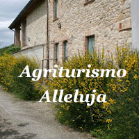 Agriturismo Alleluja a Pellegrino Parmense, agriturismo immerso nel verde con cucina tradizionale e atmosfera rurale accogliente.