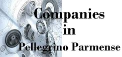 banner aziende pellegrino parmense