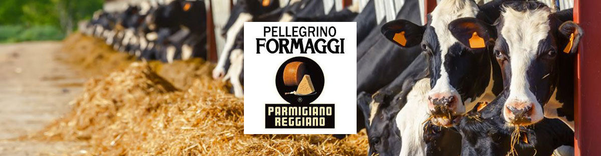 banner caseificio pellegrino