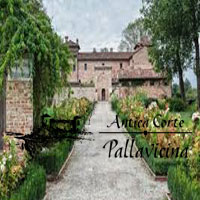 Antica Corte Pallavicino Polesine Parmense con struttura storica e proposta di soggiorno tra tradizione e natura.