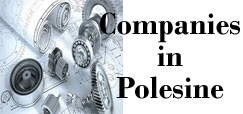 banner aziende polesine