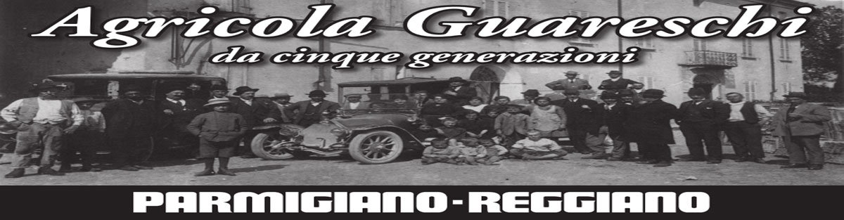 banner azienda guareschi