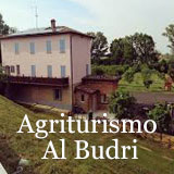 Ristorante Al Budri a Roccabianca, locale con cucina parmigiana tradizionale e specialità del territorio in atmosfera rustica e accogliente.