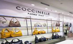 Coccinelle