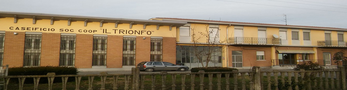 banner caseificio il trionfo