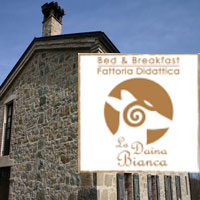 Ristorante Pizzeria La Dama Bianca a Solignano, locale accogliente nella Val Ceno vicino a Varano de’ Melegari in provincia di Parma