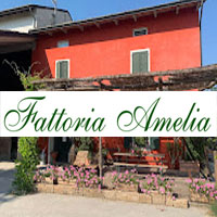 Agriturismo Fattoria Amelia, struttura rurale immersa nel verde con spazi naturali, accoglienza tradizionale e atmosfera di campagna.