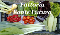 Fattoria Fonte Futura