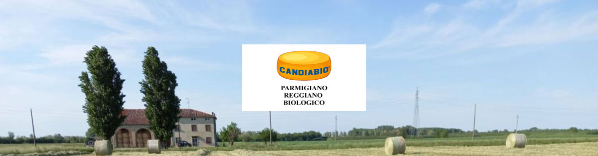 banner candiabio