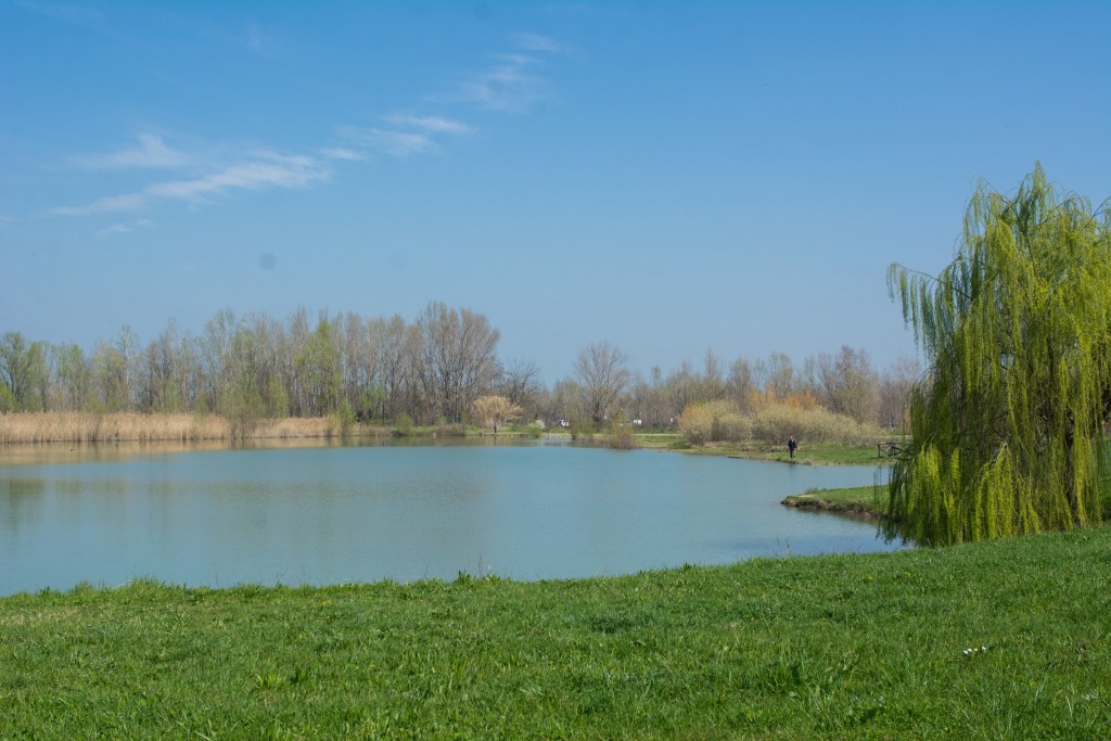 lago cronovilla