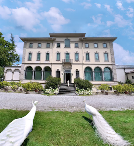 Fondazione Magnani Rocca