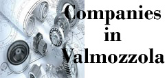 banner aziende valmozzola