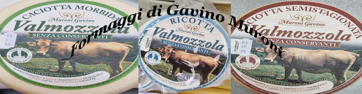 banner gavino muroni