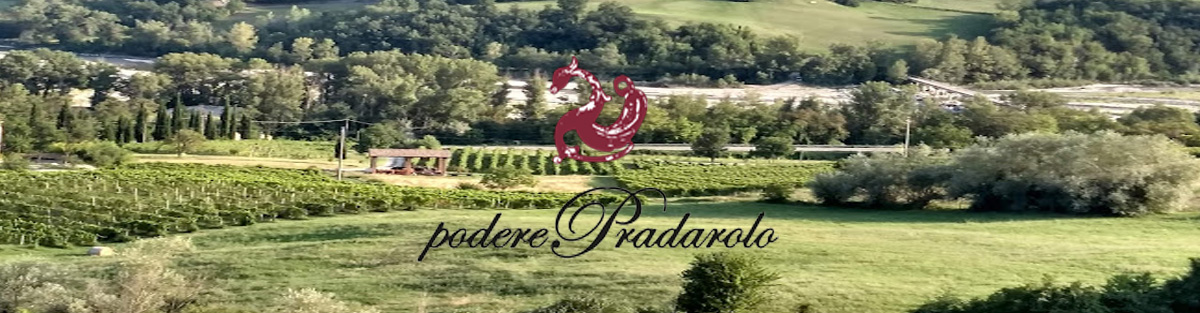 banner podere pradaloro