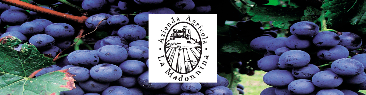 slide la madonnina